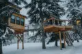 Couple standing on a snowy wooden treehouse deck surrounded by pine trees in Fairbanks Alaska
