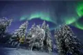 Northern lights glowing above snow-covered pine trees and a cozy winter cabin
