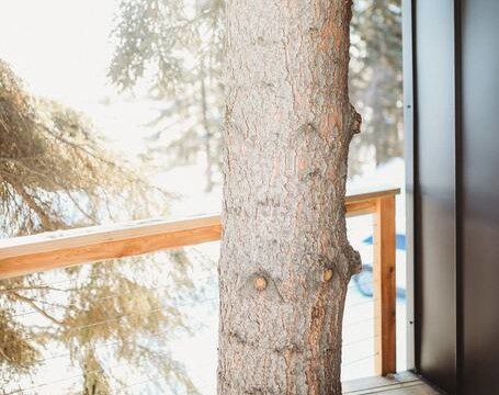 Cozy treehouse living room with teal couch, accent pillows, woven poufs, and large windows in Fairbanks, Alaska