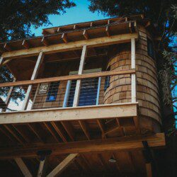Elevated wooden treehouse cabin surrounded by pine trees in Fairbanks, Alaska.