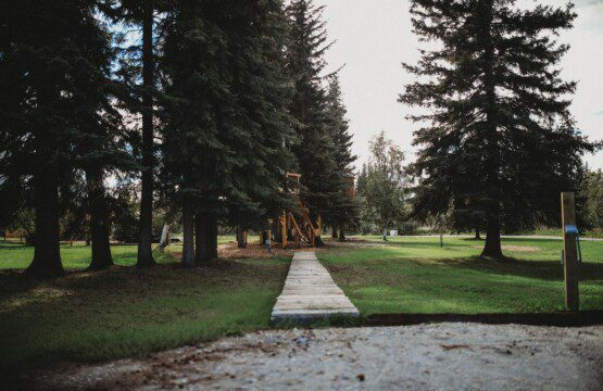 Wooded path leading through pine trees in Fairbanks, ideal for weddings and scenic Alaska adventure lodge settings