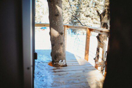 Wooden staircase built among snow-covered trees leading up to a treehouse in Fairbanks, Alaska.