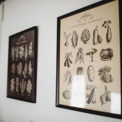 Framed vintage vegetable and herb illustrations hanging on the wall of a Fairbanks Alaska lodge