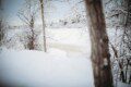 Historic railcar lodging with snowy deck and winter trees in Fairbanks Alaska