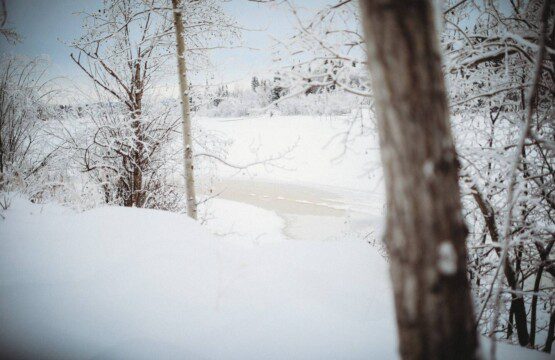 Historic railcar lodging with snowy deck and winter trees in Fairbanks Alaska
