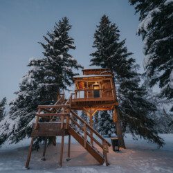 Wooden treehouse cabin on stilts surrounded by snowy pine trees in Fairbanks Alaska