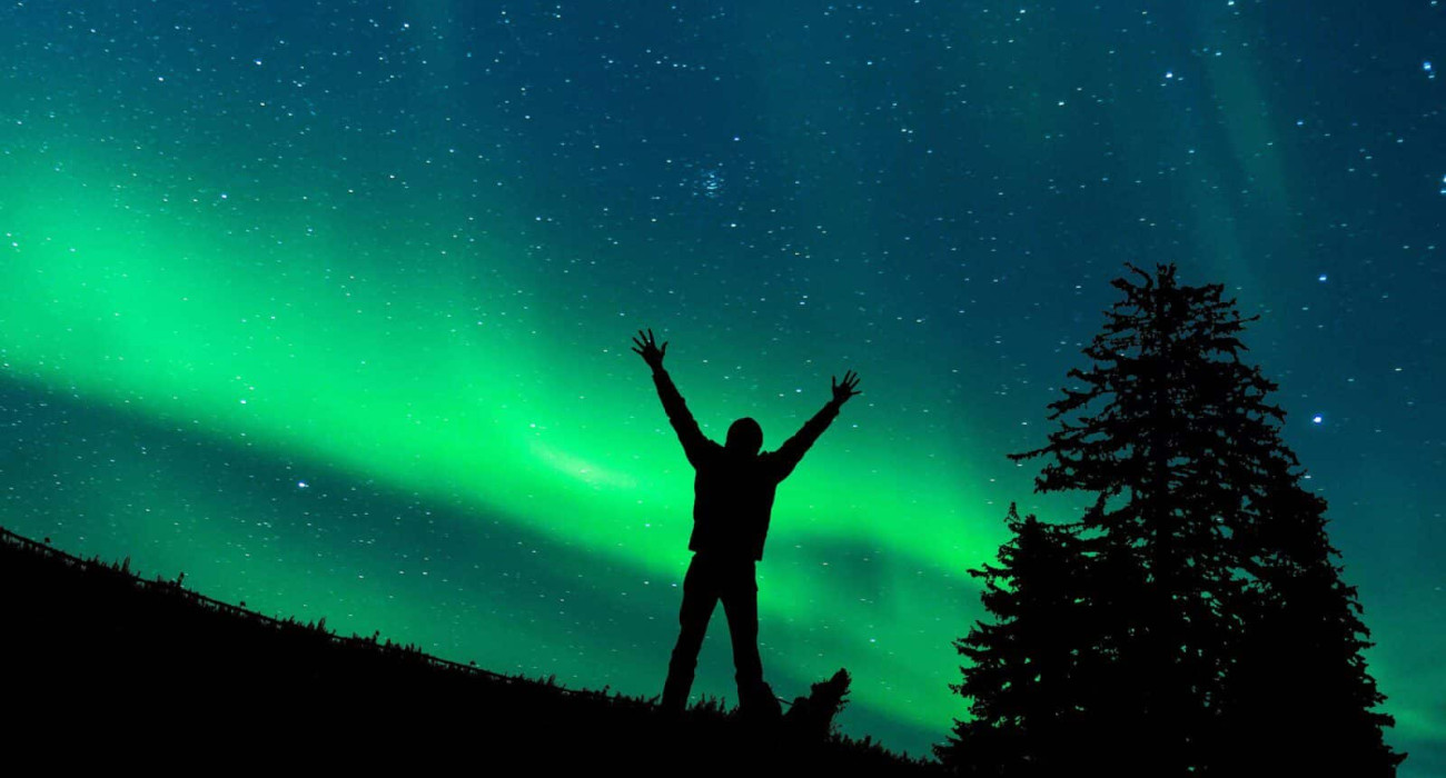 fairbanks nlights