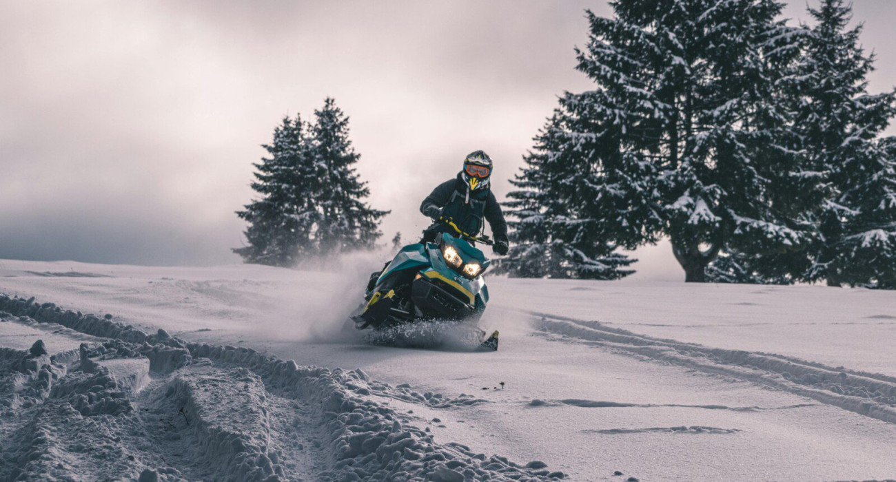 pexels-20hertz-12138608