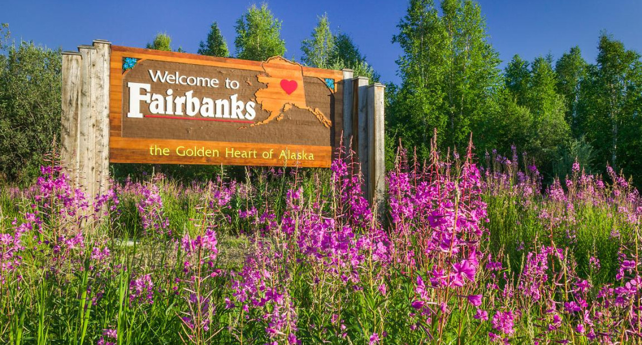 Welcome to Fairbanks sign, fireweed, Fairbanks, Alaska